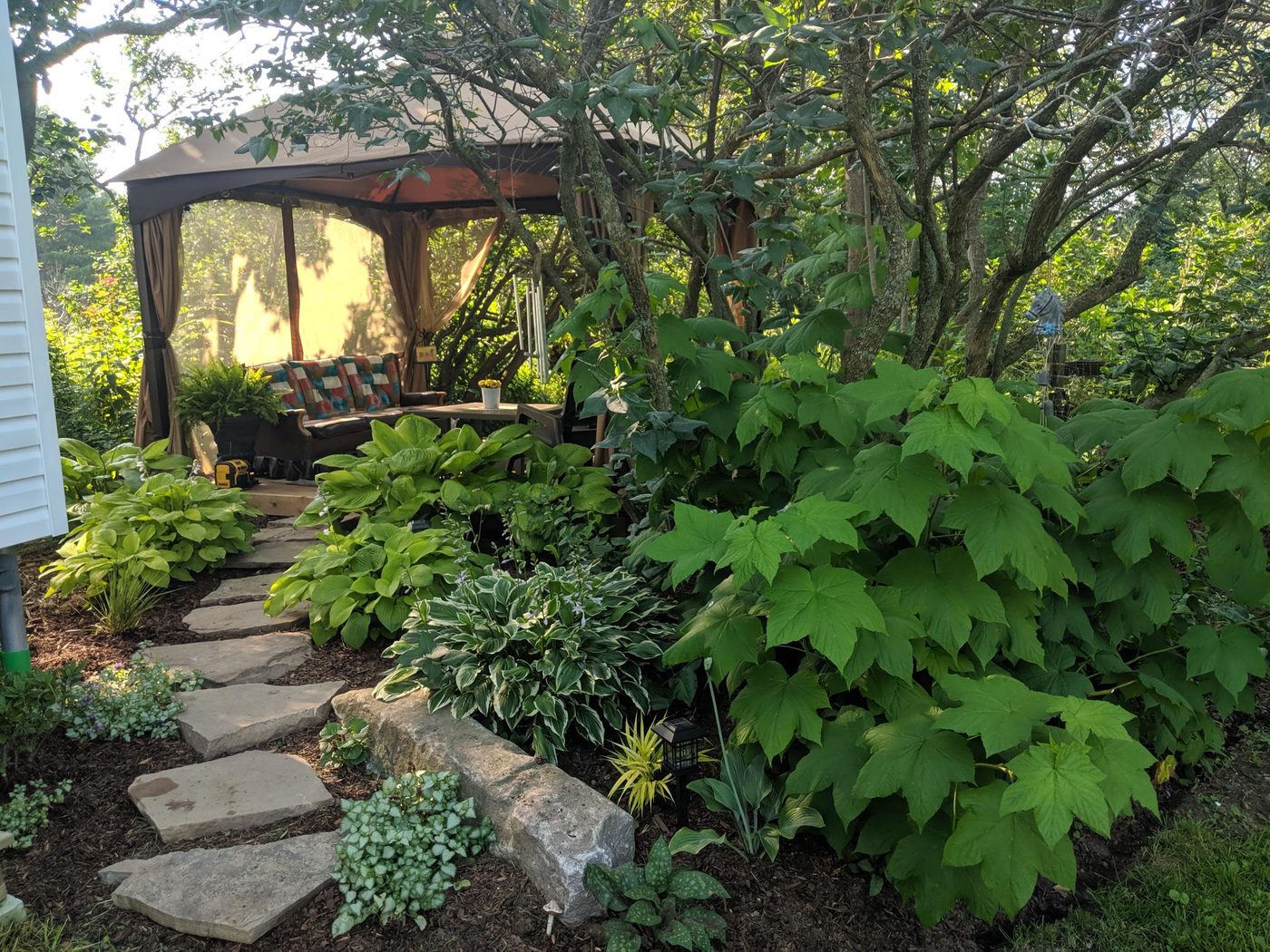 Backyard retreat with stone path, hostas, and gazebo