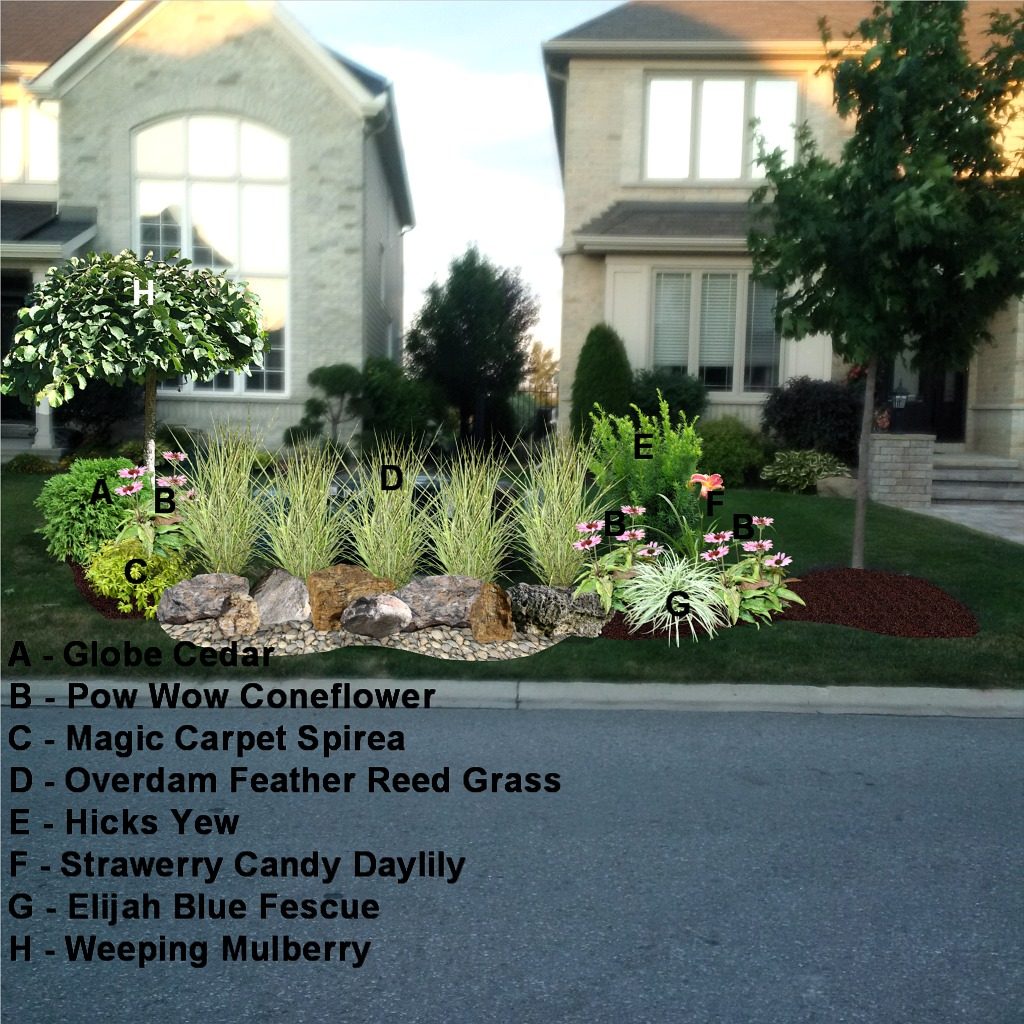 Express Design overlay sample showing labelled plant placements on a client's property