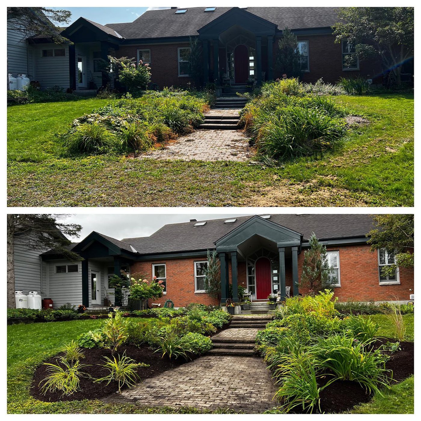 Front yard rejuvenation showing fresh plantings, mulch, and defined edges